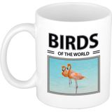 Dieren foto mok Flamingo - 300 ml - birds of the world - cadeau beker / mok Flamingos liefhebber