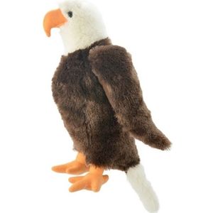 Pluche Amerikaanse zeearend/adelaar knuffel 35 cm - roofvogels knuffels