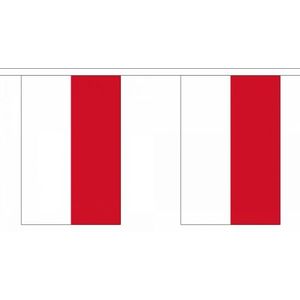 Luxe Indonesie vlaggenlijn 9 m