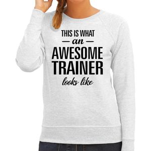 This is what an awesome trainer looks like cadeau sweater grijs - dames - beroepen / cadeau trui