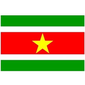 Vlag Suriname - Klein formaat - 60 x 90 cm met ophangogen
