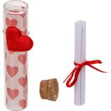 Pakket van 5x stuks valentijn hartjes flesjes van glas met boodschap 11 cm - Valentijnsdag cadeau versiering
