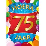 75 jaar versiering voordeel pakket