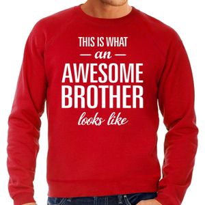 Awesome brother - geweldige broer cadeau sweater rood heren - Verjaardag kado trui