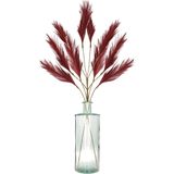 Decoratie pampasgras pluimen in vaas gerecycled glas - bordeaux rood - 98 cm - Tafel bloemstukken