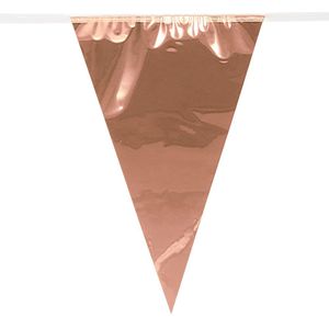 Boland PE reuzenvlaggenlijn - 10m - Rose goud - Universeel Thema - plastic