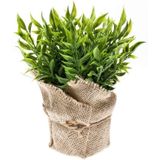Kunstplant muizendoorn kruiden groen in pot 20 cm