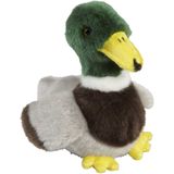 Pluche kleine knuffel dieren Wilde Eend vogel van 18 cm - Speelgoed knuffels eenden/vogels - Leuk als cadeau voor kinderen