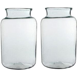 2x Cilinder vaas / bloemenvaas transparant glas 44 x 25 cm - bloemenvazen - woondecoratie / woonaccessoires