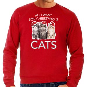 Kitten Kerstsweater / Kerst trui All I want for Christmas is cats rood voor heren - Kerstkleding / Christmas outfit