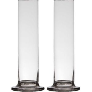 2x stuks transparante luxe stijlvolle 1 bloem vaas/vazen van glas 25 x 6 cm - Roos met Valentijn vaas voor binnen