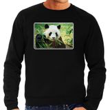 Dieren sweater met pandaberen foto - zwart - voor heren - natuur / panda cadeau trui - kleding / sweat shirt