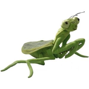Bid sprinkhaan insecten pluche knuffel 35 cm - decoratie dieren/beesten