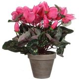 Voordeelset van 3x stuks roze cyclaam kunstplanten met bloemen 30 cm in grijze pot - Kunstplanten/nepplanten - Huis of kantoor