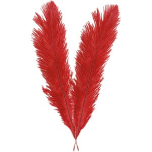 Chaks Pieten struisvogelveer/sierveer - 2x - rood - 55-60 cm - decoratie/hobbymateriaal