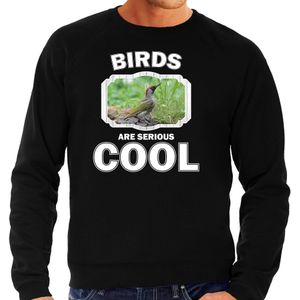 Dieren vogels sweater zwart heren - birds are serious cool trui - cadeau sweater groene specht/ vogels liefhebber