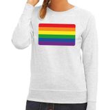 Gay pride regenboog vlag sweater grijs - lesbo sweater voor dames - gay pride