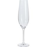 Excellent Houseware Champagneglazen - hoog model - 4x - transparant - glas - 260 ml - proseccoglazen