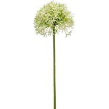 Emerald Allium/Sierui kunstbloem - 2x - losse steel - creme/groen - 62 cm - Natuurlijke uitstraling