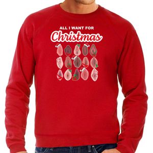 Bellatio Decorations foute kersttrui/sweater voor heren - All I want for Christmas - vagina - rood