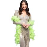 Boland Carnaval verkleed boa met veren - 2x - neon groen - 180 cm - 50 gram - Glitter and Glamour - verkleed accessoires