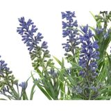 5x stuks lavandula/lavendel kunstplant 34 cm bosje/bundel - Kunstplanten/nepplanten