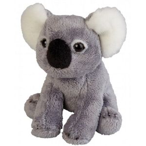 Pluche Koala Beer Dieren Knuffel 15 cm - Knuffelbeesten