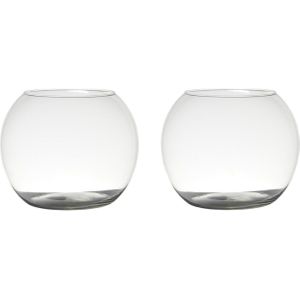 Set van 2x stuks transparante ronde bol vissenkom vaas/vazen van glas 20 x 25 cm - Bloemen/boeketten vaas voor binnen gebruik