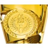 Luxe trofee/prijs beker met sierlijke oren - goud - kunststof - 17 x 11 cm