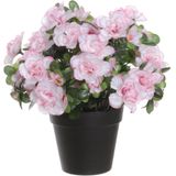 Louis Maes Azalea Kunstplant - in pot - wit/roze - H28 cm