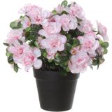 Louis Maes Azalea Kunstplant - in pot - wit/roze - H28 cm