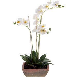 Witte orchidee kunstplant in terracotta pot 50 cm - Orchidaceae - Woondecoratie/accessoires - Kunstplanten - Nepplanten - Orchidee planten in pot