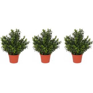 Nep planten groene buxus bol struik kunstplanten 42 cm met zwarte pot -  online kopen | Lage prijs | beslist.nl
