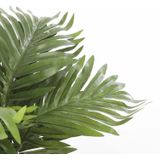 Mica Decorations Areca Palm Kunstplant in Bloempot Stan - H45 x Ø60 cm - Groen