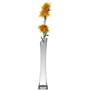 Hakbijl glass bloemenvaas - transparant - D7 x H35 cm - glas - Speciaal geschikt voor die ene rode roos/rozen met Valentijn/Bruiloft