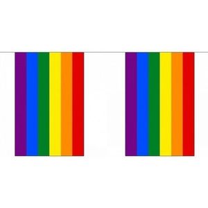 2x Buiten vlaggenlijn regenboog 3 meter - Pride regenboog vlag - LGBT feestartikelen - Decoratie en versieringen