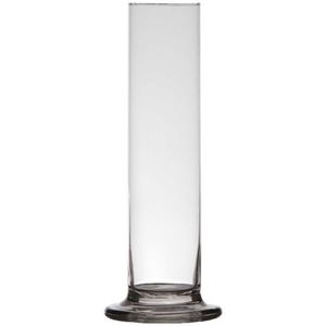 Transparante luxe stijlvolle 1 bloem vaas/vazen van glas 25 x 6 cm - Roos met Valentijn vaas voor binnen