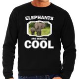 Dieren olifant met kalf sweater zwart heren - elephants are serious cool trui - cadeau sweater olifant/ olifanten liefhebber
