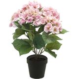 Hortensia kunstplant/kunstbloemen 40 cm - roze - in pot mat zwart - Kunst kamerplant