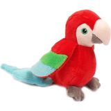 Pia Soft Toys Knuffeldier Papegaai - zachte pluche stof - premium kwaliteit knuffels - rood - 12 cm - Papegaaien