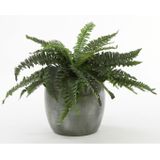 Mica Decorations Lester Ronde Bloempot Groen Maat In Cm: 31 X 33