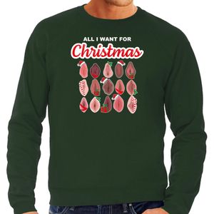 Bellatio Decorations foute kersttrui/sweater voor heren - All I want for Christmas - vagina - groen