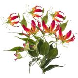 3x Gele met rode Gloriosa/Klimlelie kunstplanten 75 cm - Klimlelies - Kunstbloemen boeketten