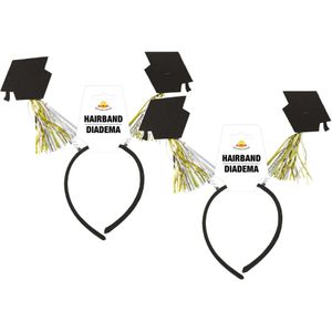 Geslaagd/diploma gehaald verkleed diadeem/haarband - 2x - afstudeer thema feest accessoires