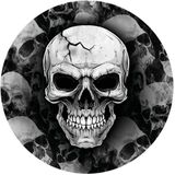 Fiestas Guirca Halloween/horror schedel/doodshoofd bordjes - 24x - zwart - papier - D23 cm