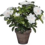 2x Groene Azalea kunstplant witte bloemen 27 cm in pot stan grey - Kunstplanten/nepplanten
