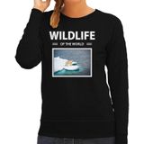Dieren foto sweater Ijsbeer - zwart - dames - wildlife of the world - cadeau trui Ijsberen liefhebber