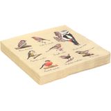 60x Papieren servetten met vogels print 33 x 33 cm - Tafeldecoratie wegwerp servetjes