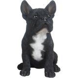 Tuinbeeld Franse Bulldog Hond Zwart 29 cm