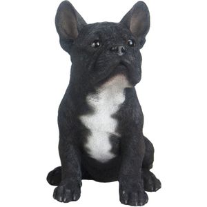 Tuinbeeld Franse Bulldog Hond Zwart 29 cm